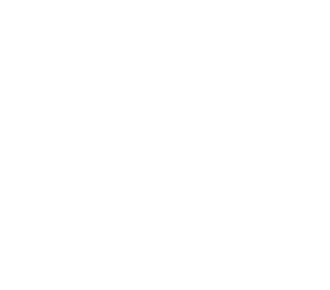 TRINITY CREATIVE LLC